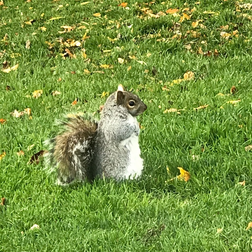 Meet your Posher, Nicola